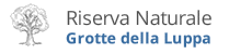 Banner riserva Luppa
